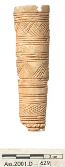 Ass2001D-1522-Med