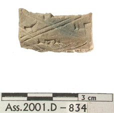 Ass2001D-834-A-Med