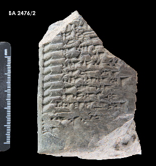 BA_2476-002_2_klein