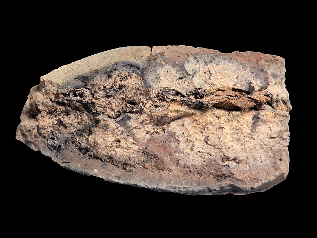 BA_2615-003_1_klein_neu