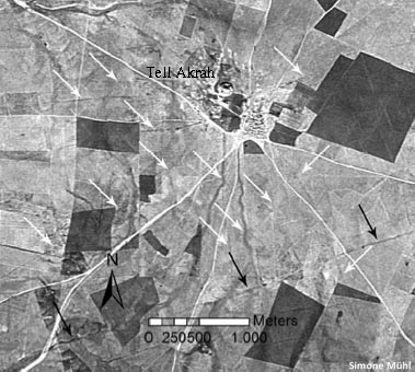 Akrah_Radial Kopie