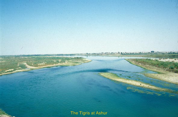 Ass2001-Tigris-02-DIA-klein
